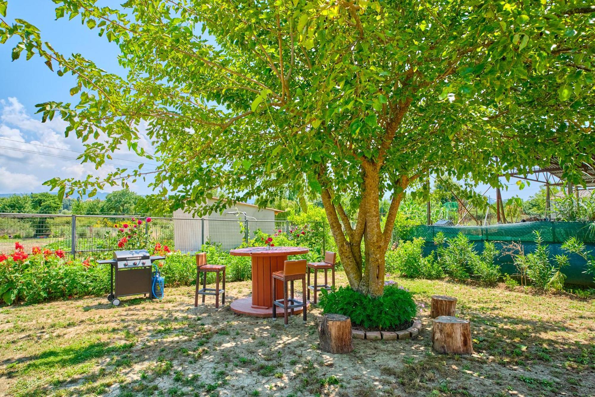 Stacys Near Sidari * Velonades (Corfu)